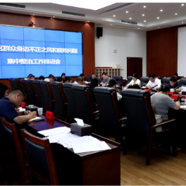 渌口区召开群众身边不正之风和腐败问题集中整治工作推进会