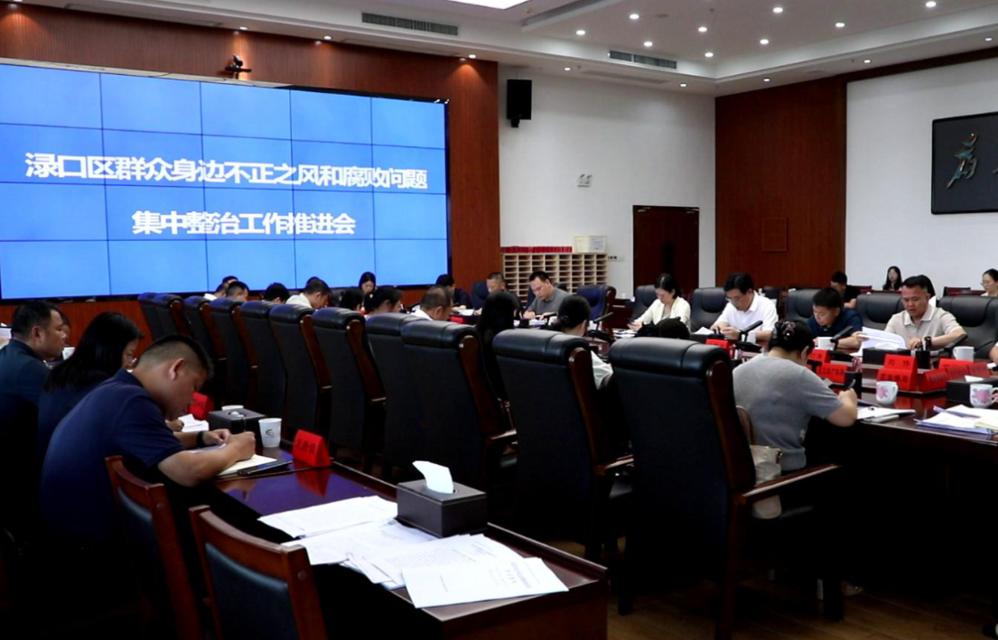 渌口区召开群众身边不正之风和腐败问题集中整治工作推进会