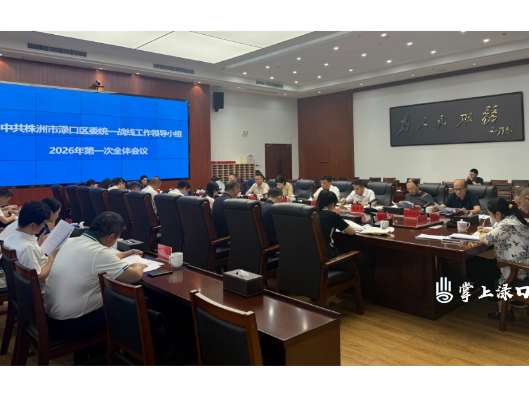 赖晓智主持召开区委统一战线工作领导小组2026年第一次全体会议