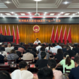 树立正确政绩观 奋进发展新征程！南洲镇召开“七一”党员大会