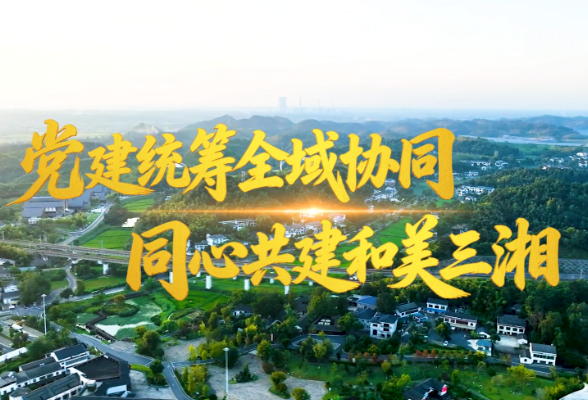 党建统筹全域协同 同心共建和美三湘