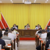 渌口区区镇两级人大换届选举工作会议召开