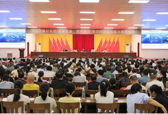 渌口区基层医疗“改革强基、攻坚提质”专项行动动员暨业务培训会召开