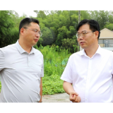 陈交云调研F地块及航空城片区重点项目建设情况