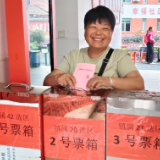 渌口区选举新一届区、镇两级人大代表