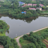 南洲镇:无人机巡查提质效 科技赋能优治理