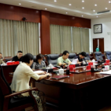 赖晓智主持召开区委常委会2026年第23次会议