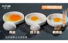 【健康渌口行动】入秋一补就上火？别急着贴秋膘！这颗蛋不上火、不生湿，还能补气血，可惜很多人一直没试过