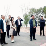 驻渌口区市人大代表小组调研农文旅融合发展与重点项目建设工作