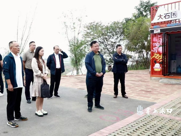 驻渌口区市人大代表小组调研农文旅融合发展与重点项目建设工作