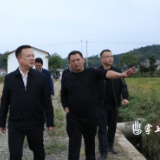 李晓彤调研晚稻低茬收割工作