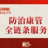 党的二十届四中全会名词卡片：防治康管全链条服务