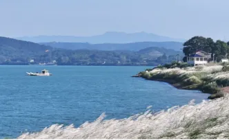 来渌口赴一场“雪海”之约，本周末晴好速冲～