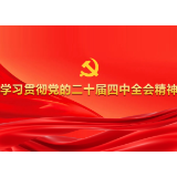 “十四五”时期我国发展取得重大成就(学习贯彻党的二十届四中全会精神)