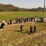 田间课堂传经送宝 跨区交流共促振兴！湘潭县农技人员来渌口区观摩学习