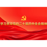 加强退役军人服务保障 推动退役军人工作高质量发展（权威访谈·学习贯彻党的二十届四中全会精神）
