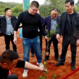 渌口区油茶培训“干货满满”助增产