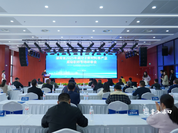 渌口区首次承办湖南省2025年高分子新材料等产业高级职称专场评审工作