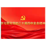 龙船镇深入学习贯彻党的二十届四中全会精神感悟