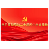 淦田镇深入学习贯彻党的二十届四中全会精神感悟
