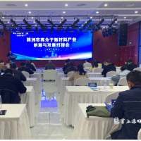 高分子链专家聚首株洲 共谋新材料产业创新发展