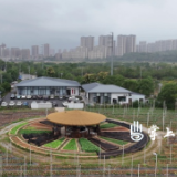 【渌口三农】引育亚热带特色水果 铺就乡村振兴致富路