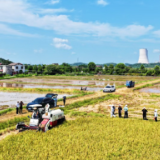 中央农村工作会议在京召开