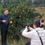 渌口区新的社会阶层人士赴古岳峰镇开展 “三百三助” 活动