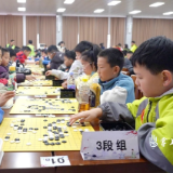 2025年湖南省围棋精英争霸赛在渌口区开赛