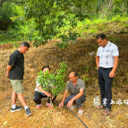 “红美人”管护正当时 专家现场来支招