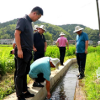 株洲市高标准农田建设现场交流会在渌口区召开