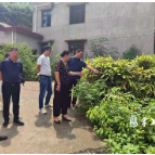 区人大常委会调研组到南洲镇开展高标准农田建设管理使用情况调研