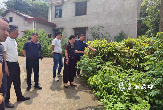 区人大常委会调研组到南洲镇开展高标准农田建设管理使用情况调研