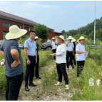 区人大常委会调研组到龙潭镇开展高标准农田建设管理使用情况调研