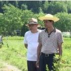 柏连阳来渌口区调研指导农业生产工作