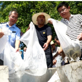 渌口区人工增殖放流80万尾鱼苗进入湘江