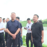 李晓彤带队调研渌口老街历史文化街区示范创建工作