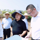 李晓彤到渌口镇调研土地整理和项目建设工作