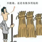 禁止焚烧秸秆，保护生态环境