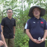 李晓彤调研突出生态环境问题整改工作