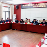 【聚焦渌口两会】赖晓智参加株洲市渌口区第二届人民代表大会第六次会议淦田代表团审议