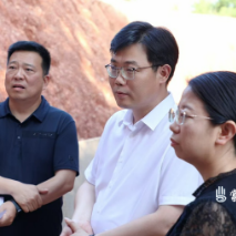 陈交云到古岳峰镇调研近期重点工作