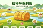 @农户朋友们：秸秆不焚烧，巧用变成宝！这五种方式请收好