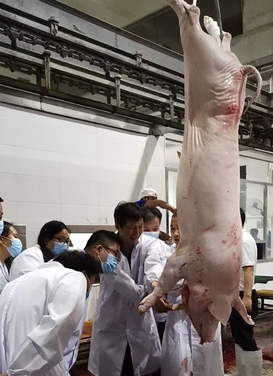 双牌县选派动物疫病防控人员将代表永州市赴省参赛（图2）_副本.jpg