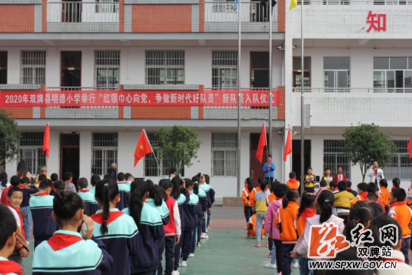 2020年明德小学举行“红领巾心向党，争做新时代好队员”新队员入队仪式通讯稿522_副本_副本.png