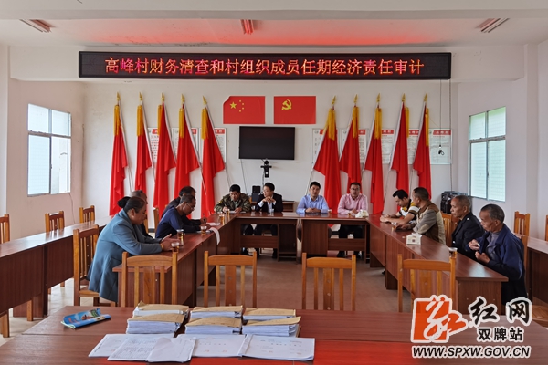 茶林 审计_副本_副本.jpg
