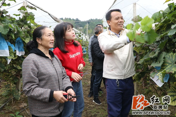 微信图片_20201123153444_副本.png