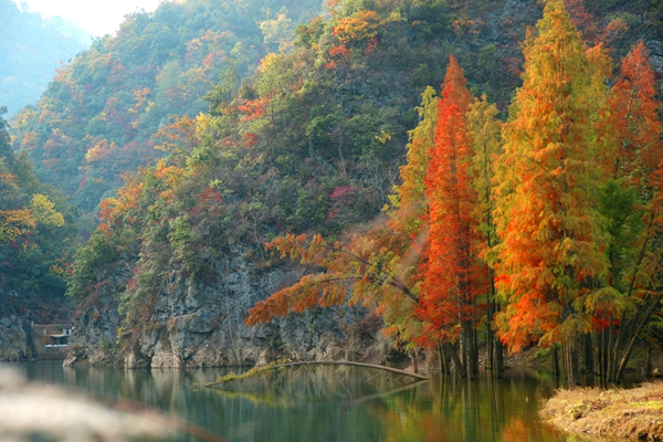 阳明秋色_副本.jpg 阳明秋色_副本.jpg