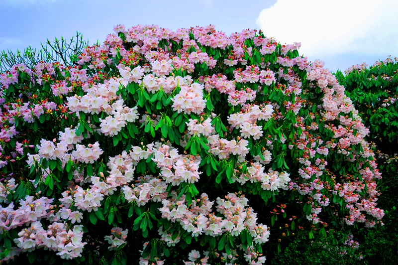 照片 142.jpg 照片 142.jpg