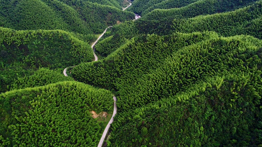 微信图片_20201201143012.png 微信图片_20201201143012.png